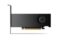 Tarjeta gráfica Nvidia RTX 2000 Ada 16 GB GDDR6 | 900-5G192-2541-000