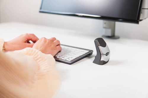 Inalámbrico ratón Bakker Elkuizen DXT Precision Mouse Wireless BNEDXTW