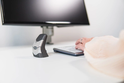 Inalámbrico ratón Bakker Elkuizen DXT Precision Mouse Wireless BNEDXTW