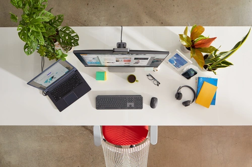 Teclado Inalámbrico Logitech Mx Keys For Business QWERTZ (DE)