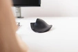 Inalámbrico ratón Bakker Elkuizen HandshoeMouse Wireless BNEP210LW