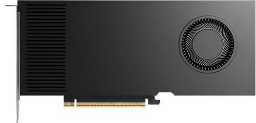 Tarjeta gráfica PNY Nvidia RTX PRO 4000 Blackwell 24 GB GDDR7 | VCNRTXPRO4000LP-SB