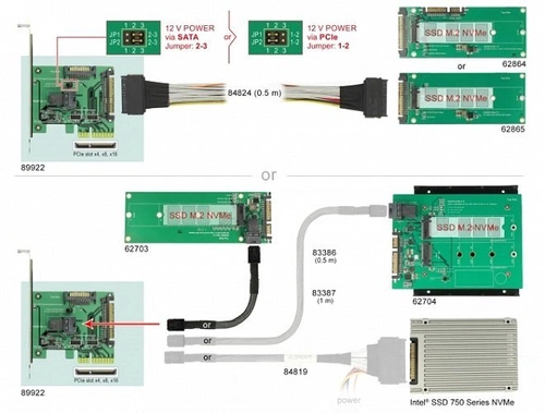Delock Card PCI Express x4 U.2 NVMe 1x SFF-8643 + 1x SFF-8639 | 89922