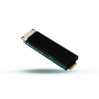 Disco SSD Goodram DC10M 480GB E1.S NVMe PCIe 4.0 | GEDC10S100-480NS10B