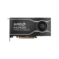 Tarjeta gráfica Radeon AMD Radeon Pro 8GB GDDR6 | 100-300000078