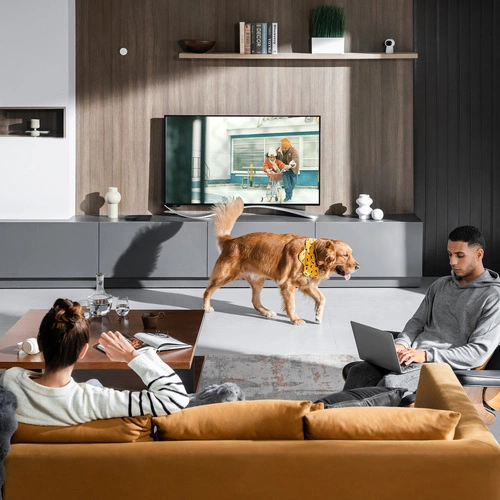 Sensor inteligente Aqara Sensor de presencia FP2 | PS-S02D